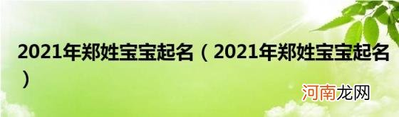 2021年郑姓宝宝起名 2021年郑姓宝宝起名