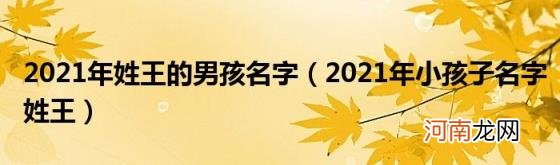 2021年小孩子名字姓王 2021年姓王的男孩名字