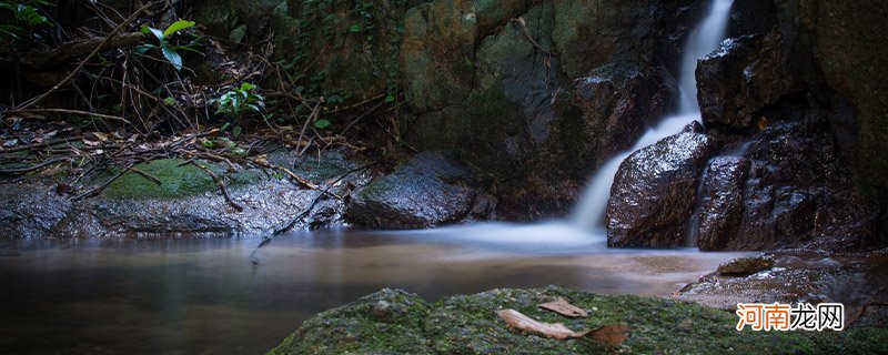 深圳羊台山海拔多少米