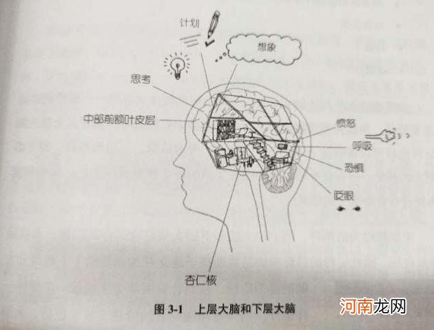 《菲菲生气了》：孩子的情绪认知魔法