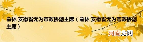 俞林安徽省无为市政协副主席 俞林安徽省无为市政协副主席