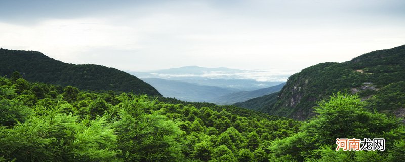 明月山多高