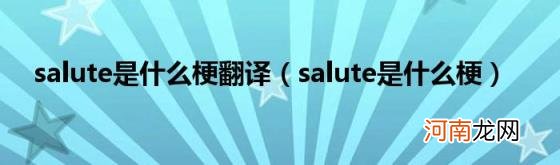 salute是什么梗 salute是什么梗翻译