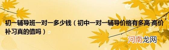 初中一对一辅导价格有多高高价补习真的值吗 初一辅导班一对一多少钱