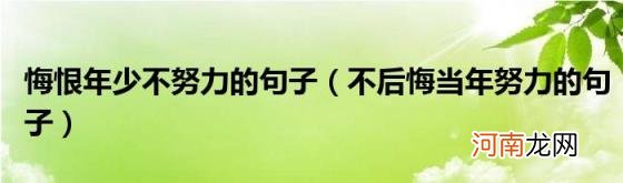 不后悔当年努力的句子 悔恨年少不努力的句子