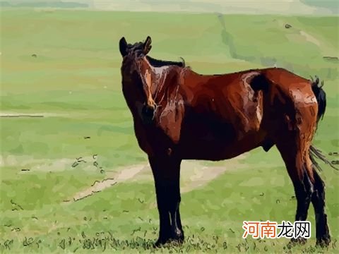 属马6月份运势如何 6月份属马的运势