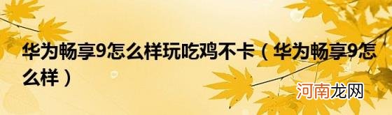 华为畅享9怎么样 华为畅享9怎么样玩吃鸡不卡