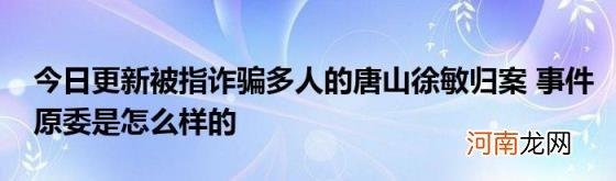 今日更新被指诈骗多人的唐山徐敏归案事件原委是怎么样的