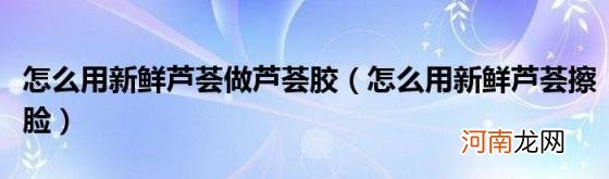 怎么用新鲜芦荟擦脸 怎么用新鲜芦荟做芦荟胶