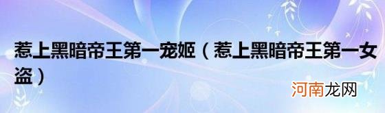 惹上黑暗帝王第一女盗 惹上黑暗帝王第一宠姬