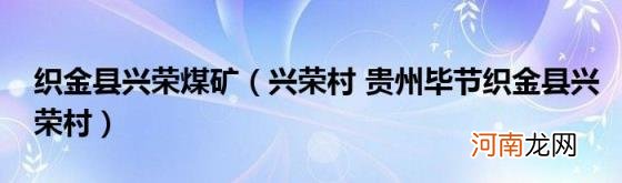 兴荣村贵州毕节织金县兴荣村 织金县兴荣煤矿