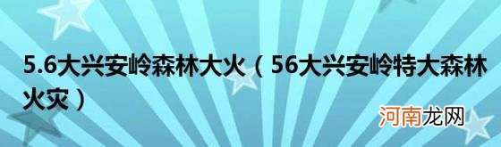 56大兴安岭特大森林火灾 5.6大兴安岭森林大火