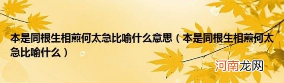 本是同根生相煎何太急比喻什么 本是同根生相煎何太急比喻什么意思