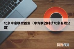 中青联创科技北京有限公司 北京中京联微创业