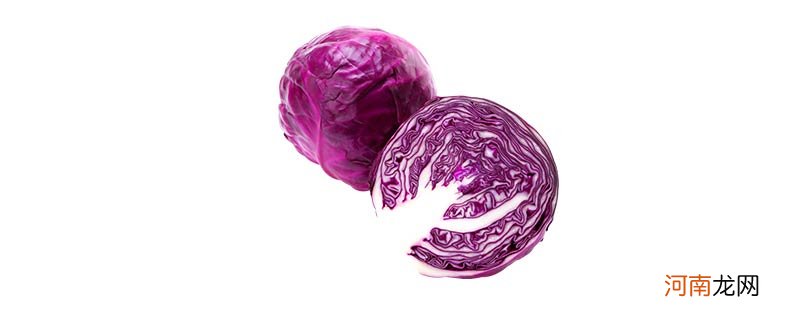 紫色叶子的菜叫什么名字