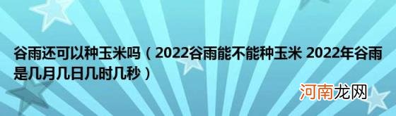 2022谷雨能不能种玉米2022年谷雨是几月几日几时几秒 谷雨还可以种玉米吗