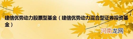 建信优势动力混合型证券投资基金 建信优势动力股票型基金