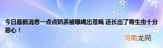 今日最新消息一点点奶茶被曝喝出苍蝇还长出了寄生虫十分恶心！