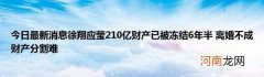 今日最新消息徐翔应莹210亿财产已被冻结6年半离婚不成财产分割难