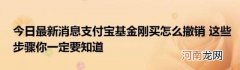 今日最新消息支付宝基金刚买怎么撤销这些步骤你一定要知道