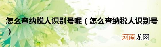 怎么查纳税人识别号 怎么查纳税人识别号呢