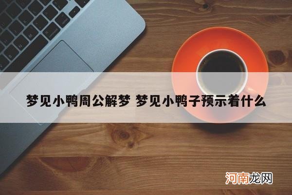 梦见小鸭周公解梦 梦见小鸭子预示着什么