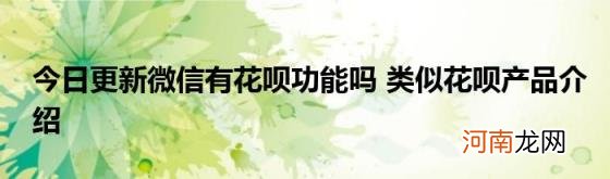 今日更新微信有花呗功能吗类似花呗产品介绍