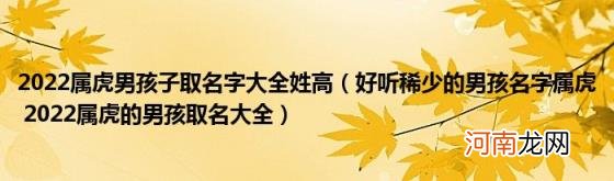 好听稀少的男孩名字属虎2022属虎的男孩取名大全 2022属虎男孩子取名字大全姓高