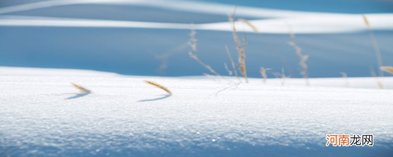 冰雪的雅称