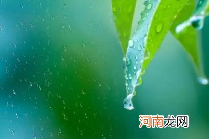 2022年下半年雨水情况预测 2020年下半年雨水是多还是少