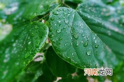 2022年下半年雨水情况预测 2020年下半年雨水是多还是少