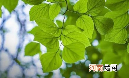 2022年下半年雨水是涝是旱 2022年下半年会干旱吗