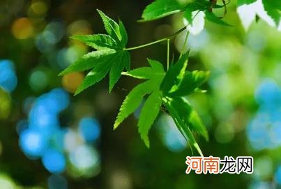 2022年下半年雨水是涝是旱 2022年下半年会干旱吗