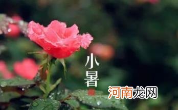 小暑节气起风的讲究是什么 2022小暑节气起风好不好