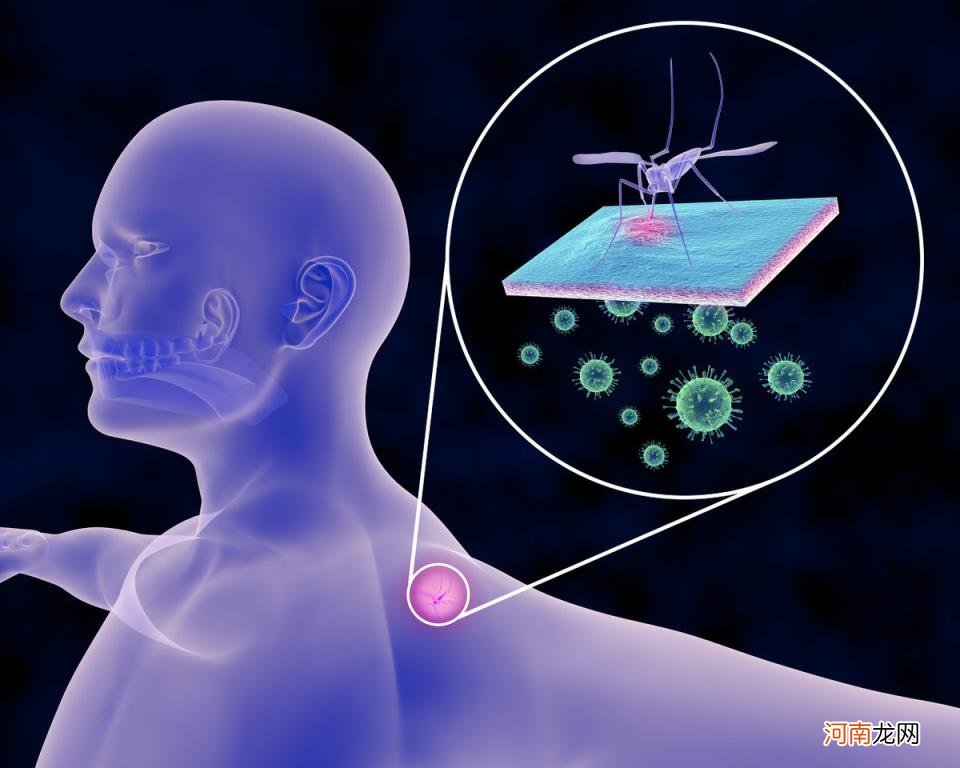 人类常见的30种病毒 病毒排行榜十大恐怖病毒