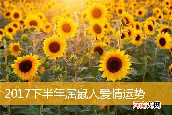 属鼠的2016年每月运势 属鼠人2016年每月运势