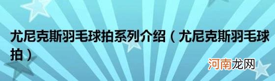 尤尼克斯羽毛球拍 尤尼克斯羽毛球拍系列介绍