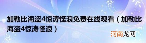 加勒比海盗4惊涛怪浪 加勒比海盗4惊涛怪浪免费在线观看