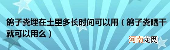 鸽子粪晒干就可以用么 鸽子粪埋在土里多长时间可以用