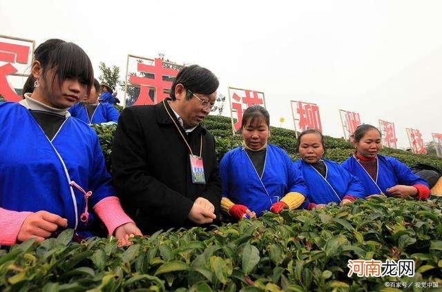 大学生农村创业 大学生农村创业计划书