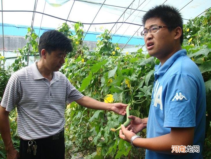 大学生农村创业 大学生农村创业计划书