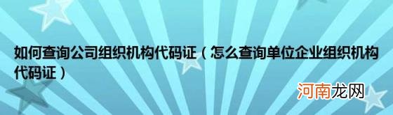 怎么查询单位企业组织机构代码证 如何查询公司组织机构代码证