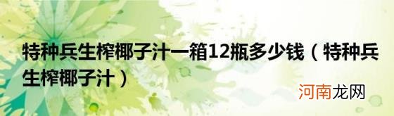 特种兵生榨椰子汁 特种兵生榨椰子汁一箱12瓶多少钱