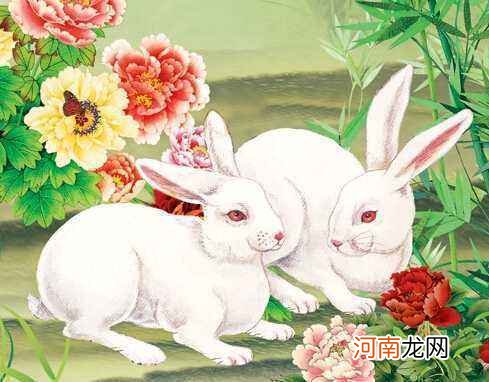 属兔的人2018年运势 属兔的人2018年运势如何