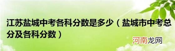 盐城市中考总分及各科分数 江苏盐城中考各科分数是多少