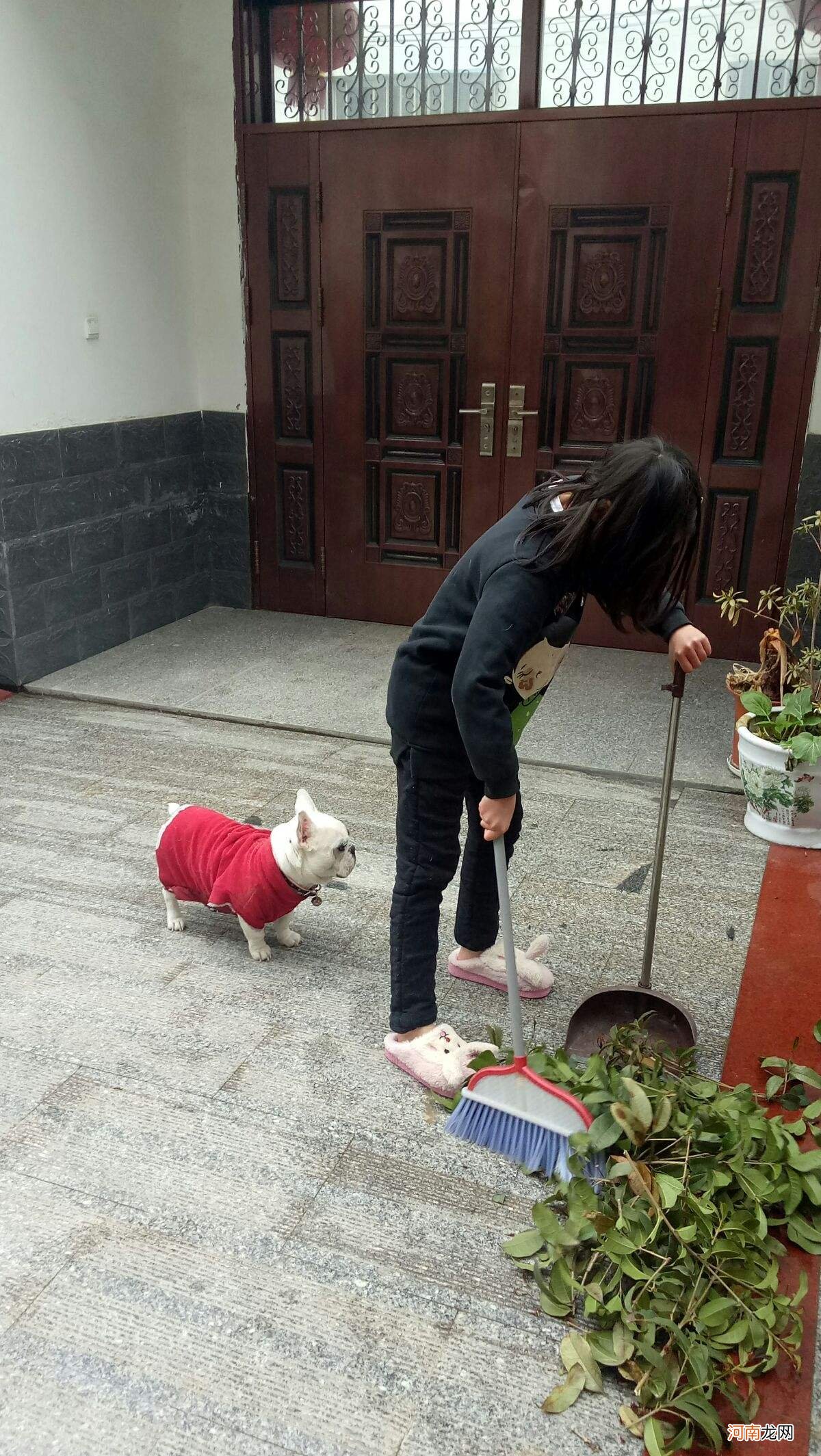 女人梦到打扫院子卫生 女人梦到给别人扫院子