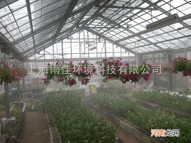 大棚种植喷雾加湿降温方案 大棚种植喷雾加湿降温