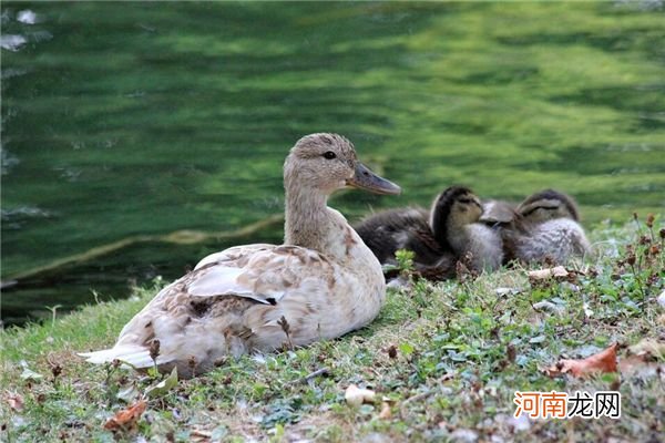周解梦时间 周易跟周公解梦