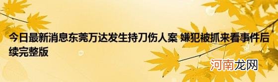 今日最新消息东莞万达发生持刀伤人案嫌犯被抓来看事件后续完整版