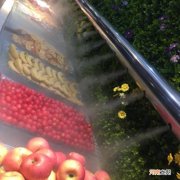 蔬菜加湿器喷雾器管用吗 蔬菜小型加湿保鲜喷雾
